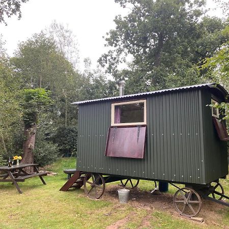 The Shepherd'S Hut - Wild Escapes Wrenbury Off Grid Glamping - Ages 12 And Over Baddiley Exteriör bild