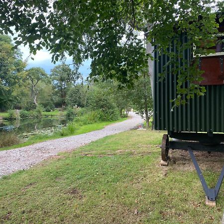 The Shepherd'S Hut - Wild Escapes Wrenbury Off Grid Glamping - Ages 12 And Over Baddiley Exteriör bild