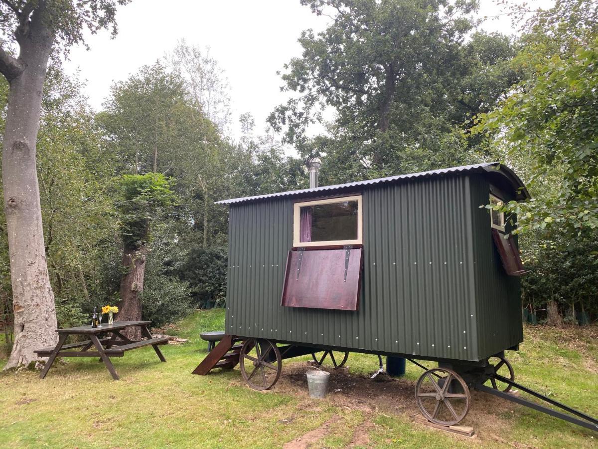 The Shepherd'S Hut - Wild Escapes Wrenbury Off Grid Glamping - Ages 12 And Over Baddiley Exteriör bild