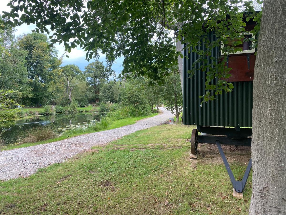 The Shepherd'S Hut - Wild Escapes Wrenbury Off Grid Glamping - Ages 12 And Over Baddiley Exteriör bild