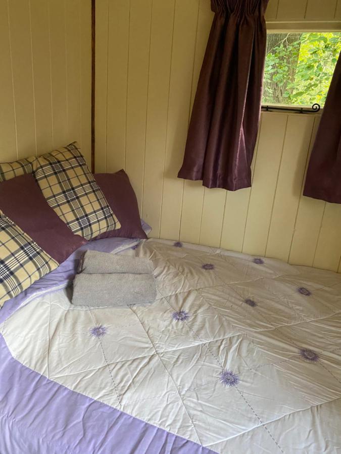The Shepherd'S Hut - Wild Escapes Wrenbury Off Grid Glamping - Ages 12 And Over Baddiley Exteriör bild