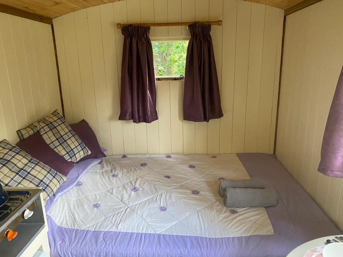 The Shepherd'S Hut - Wild Escapes Wrenbury Off Grid Glamping - Ages 12 And Over Baddiley Exteriör bild