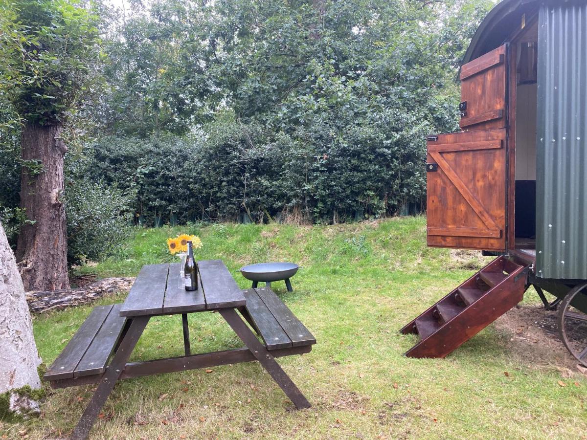 The Shepherd'S Hut - Wild Escapes Wrenbury Off Grid Glamping - Ages 12 And Over Baddiley Exteriör bild